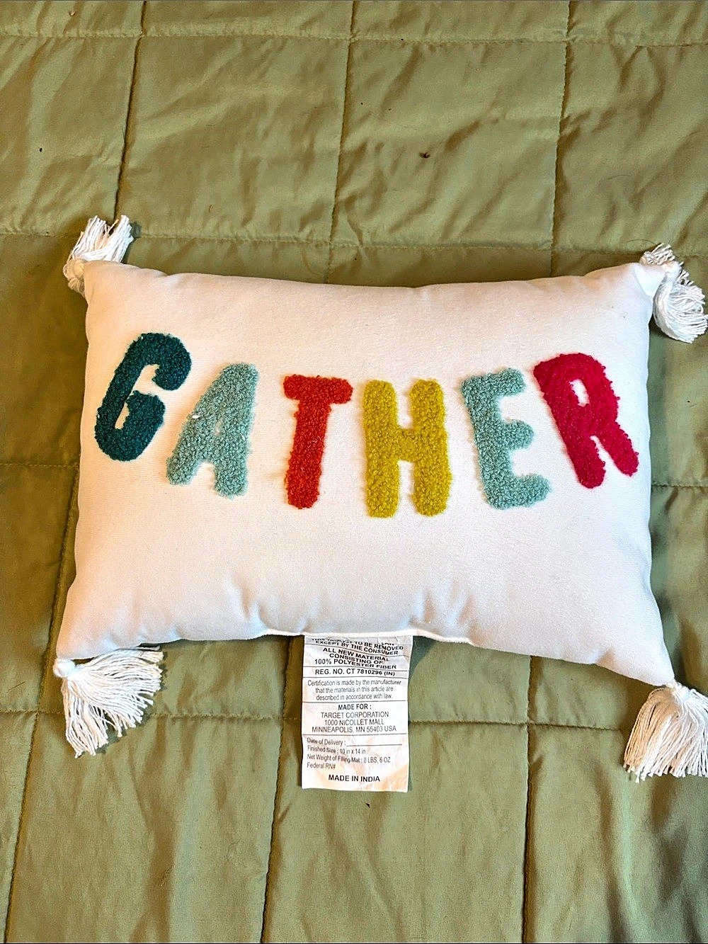 Target Gather Tassel Throw Pillow White & Green